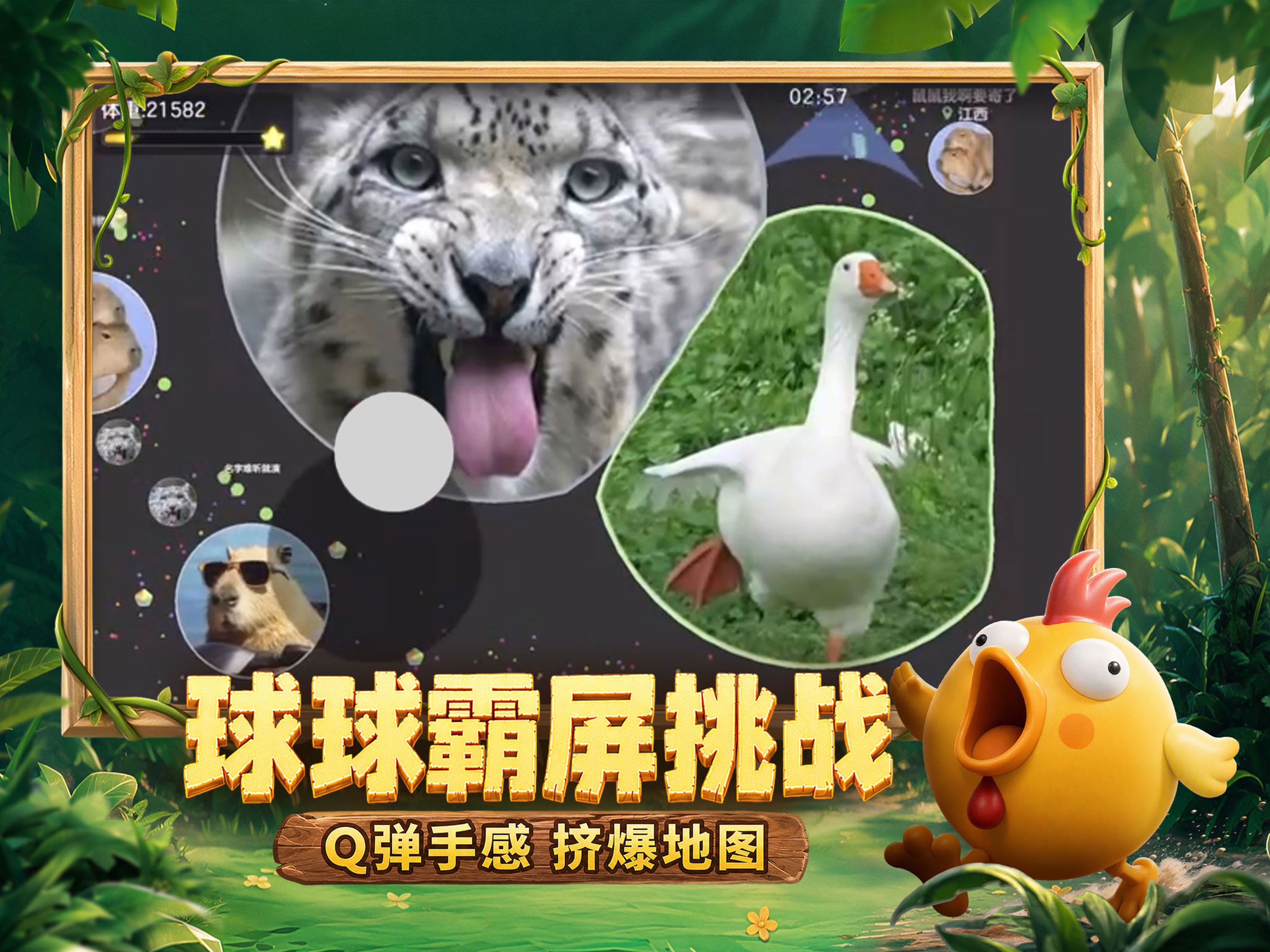 球球大作战游戏画面 11