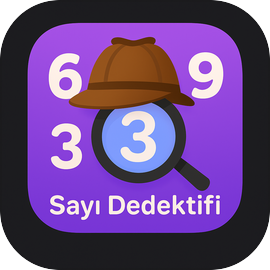 Sayı Dedektifi