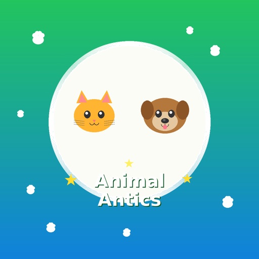 Animal Charades
