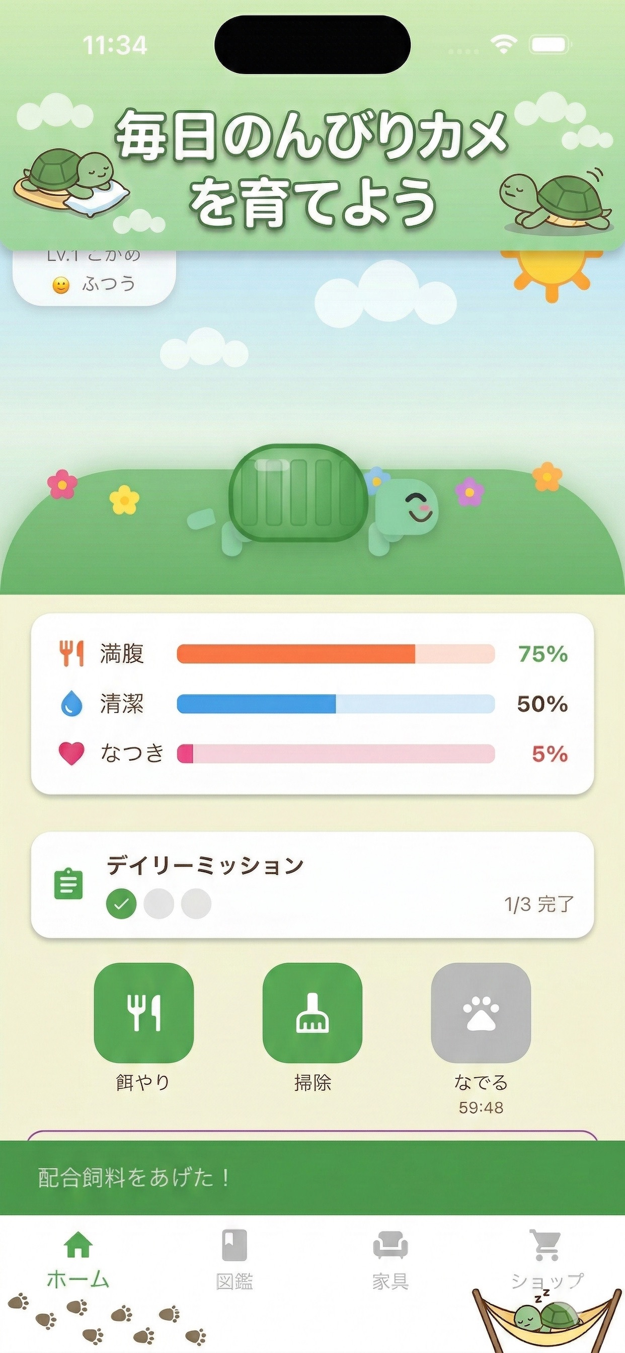 カメ育 - のんびり癒しのカメ育成ゲーム