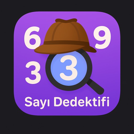 Sayı Dedektifi