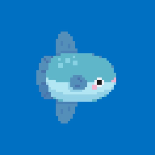 Sunfish Siesta
